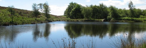 SYEconet Profile Banner