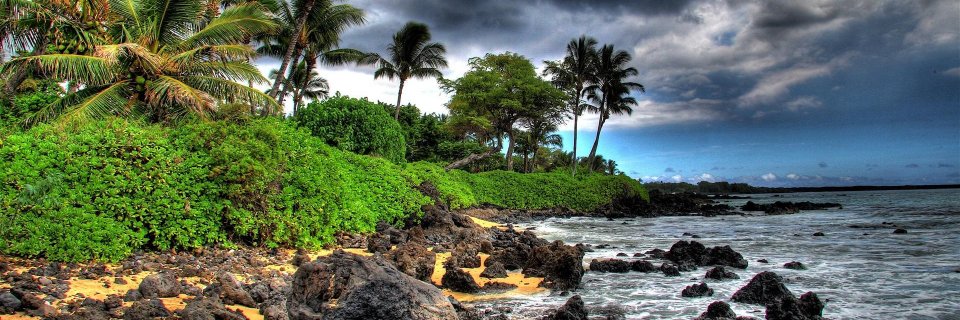 mattmarks23 🦁 banner