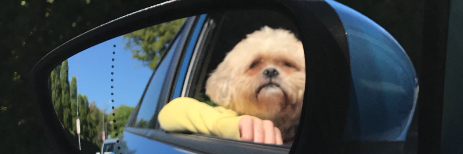 HannahClancy_'s profile banner image