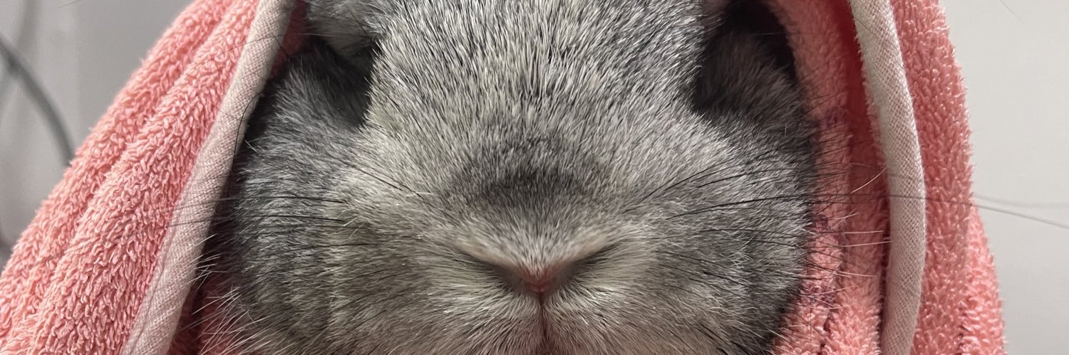 xxk96h's profile banner image