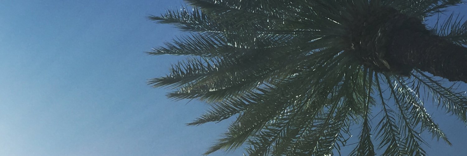 SamanthaSipe's profile banner image