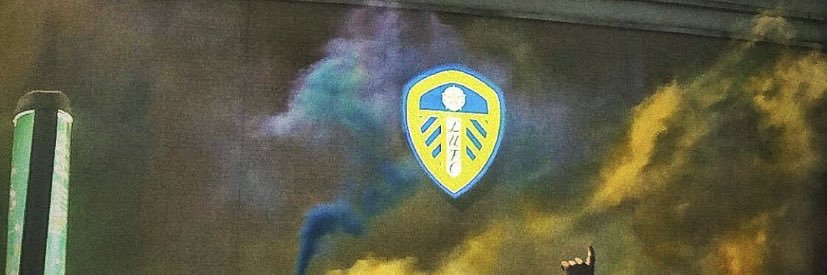 Danny Williamson banner