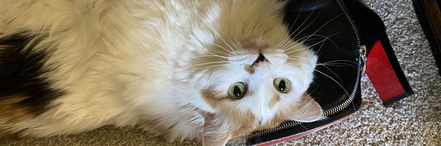 Orlie_Roach's profile banner image