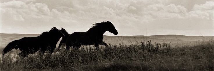 Aslan9376's profile banner image