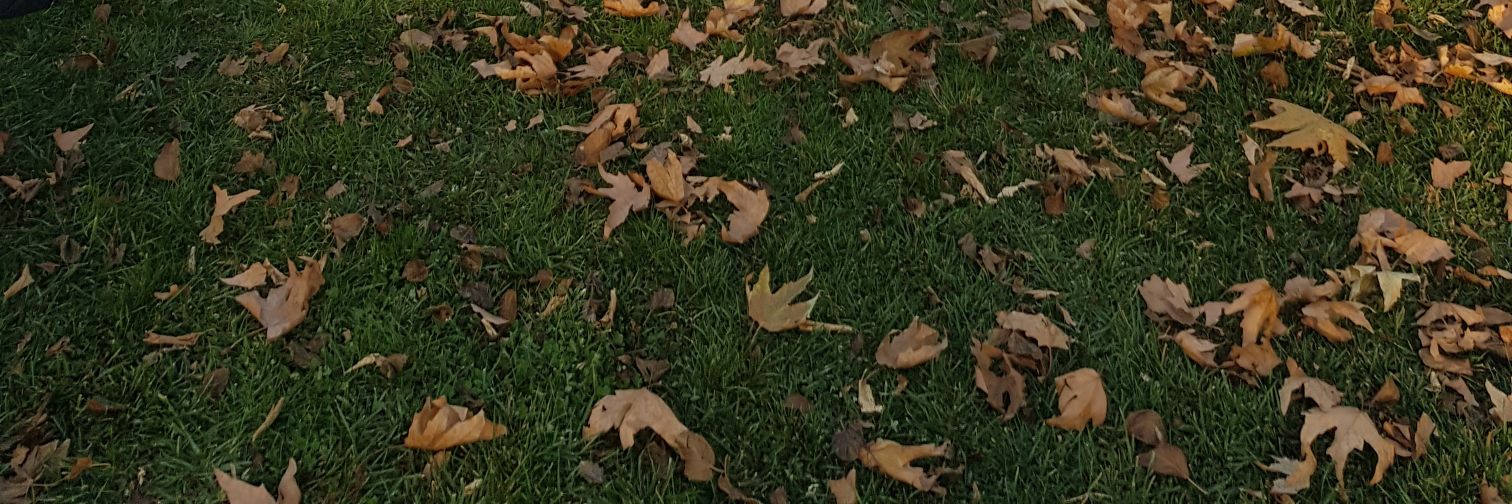 BaderGroof's profile banner image