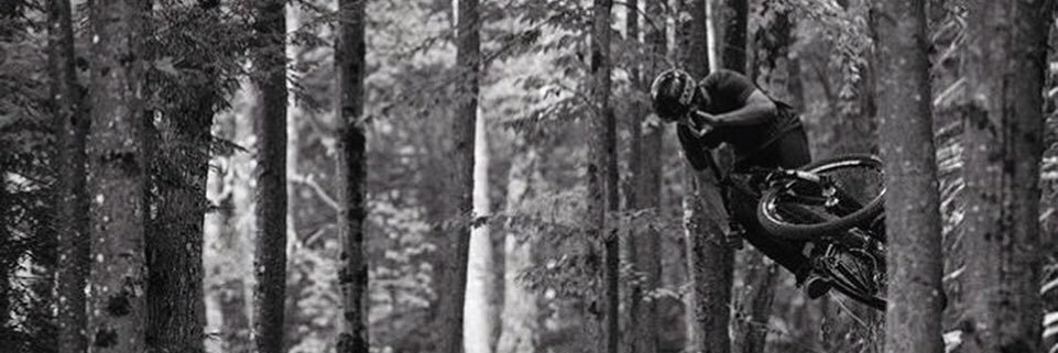 LouisReboul's profile banner image