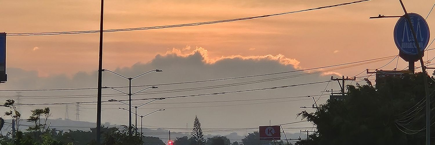 Alexia Tamayo banner