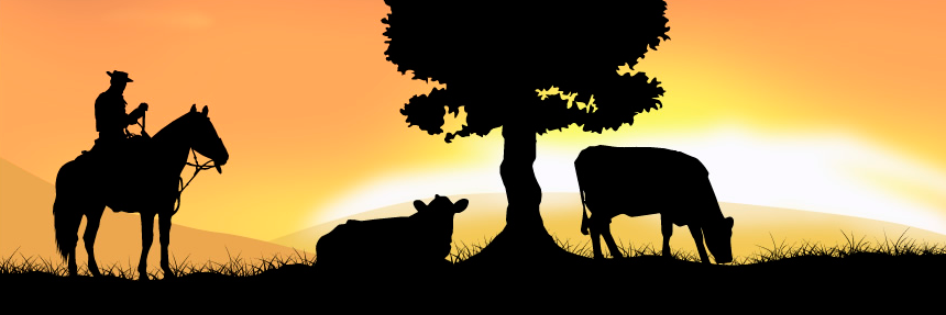 peaogaucho's profile banner image