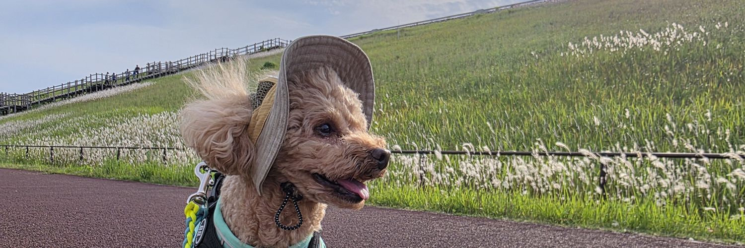 Mendoh's profile banner image