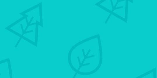 WildChildMini's profile banner image