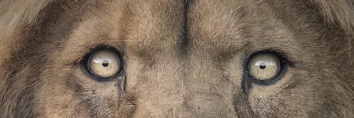 _philak's profile banner image