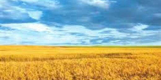 netsenzurnyj's profile banner image