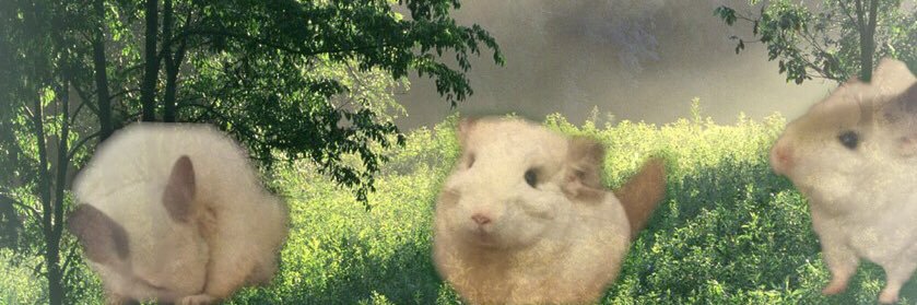 buu201612's profile banner image