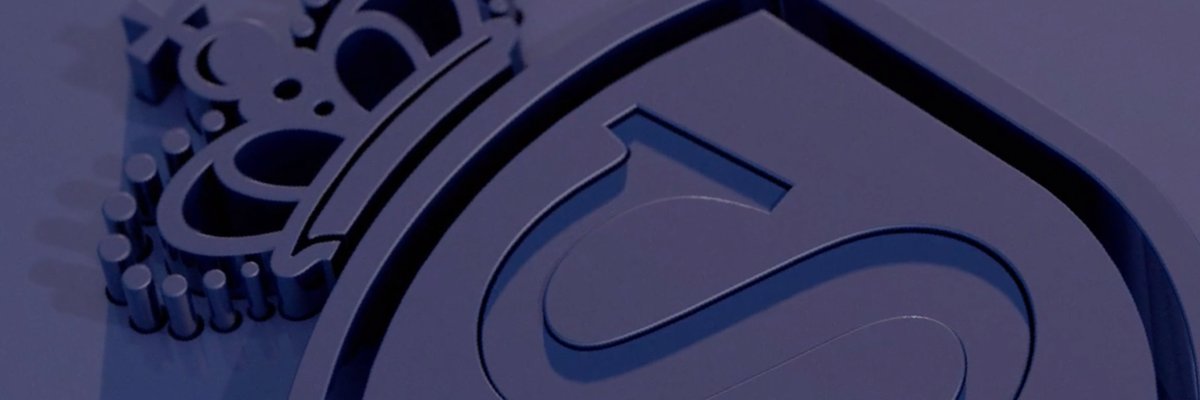 Eric Sturdza Investments banner