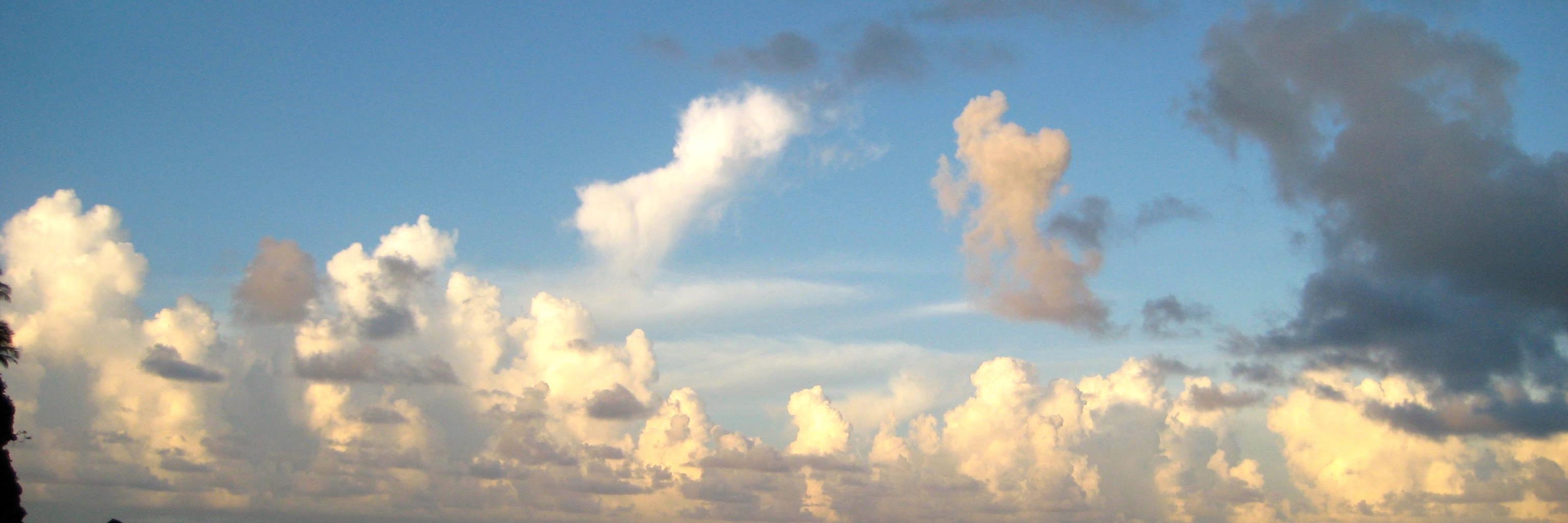 britbowles's profile banner image