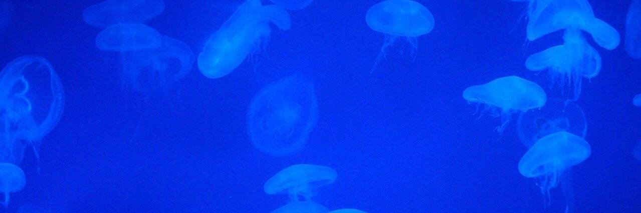 Glau Serralvo, Ed.D. banner