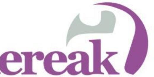 Andereak banner