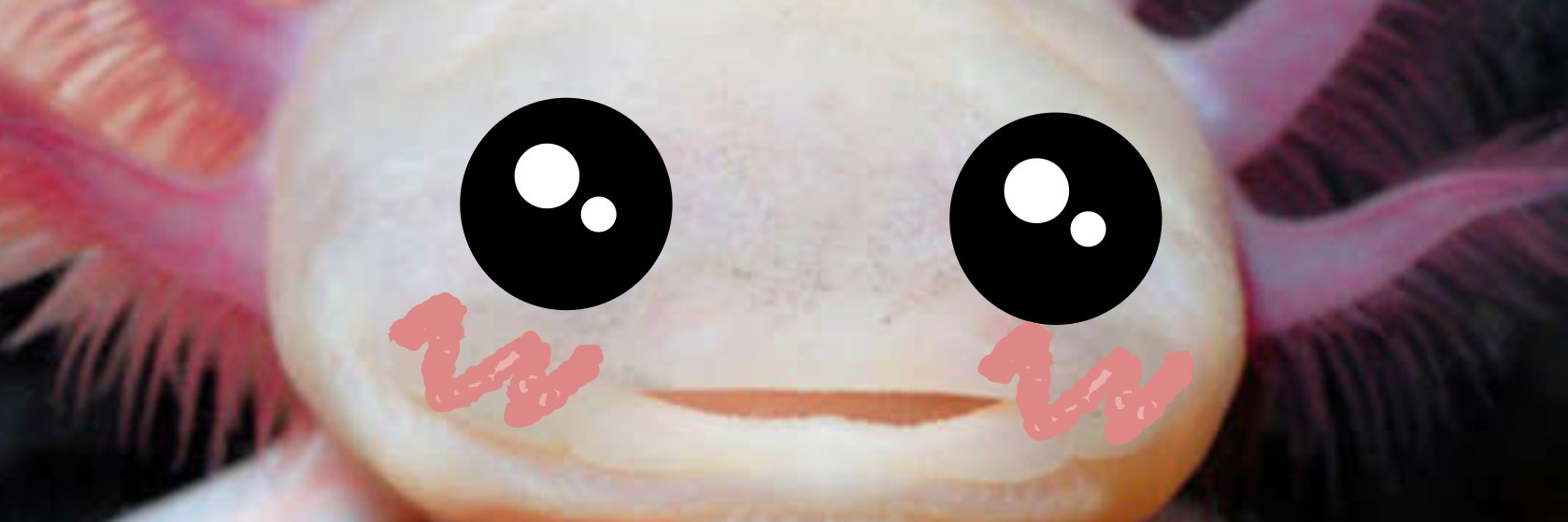 Francisco Falcon banner