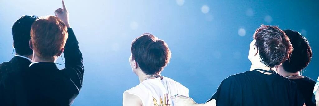 beaasttdw's profile banner image