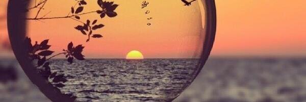 zuhalarak's profile banner image