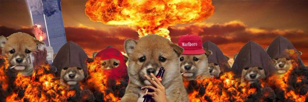 plspill Profile Banner