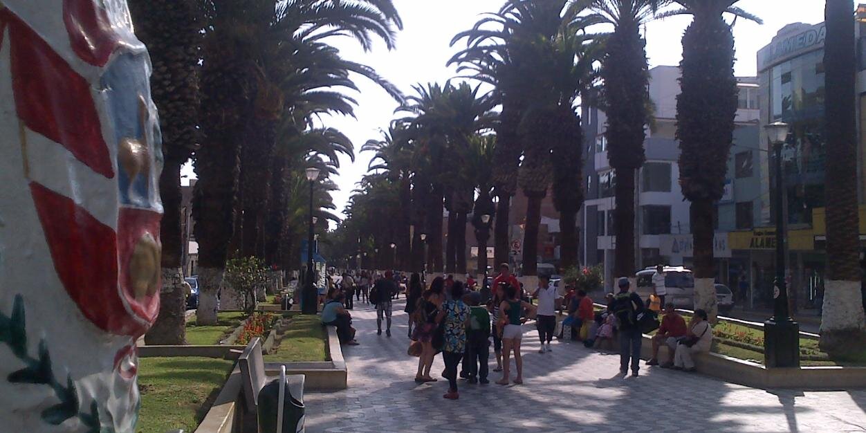 Exitosa Tacna banner
