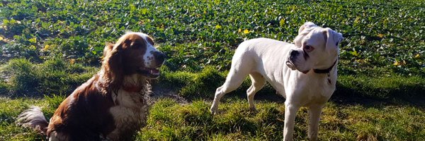 lyonsgk1 Profile Banner