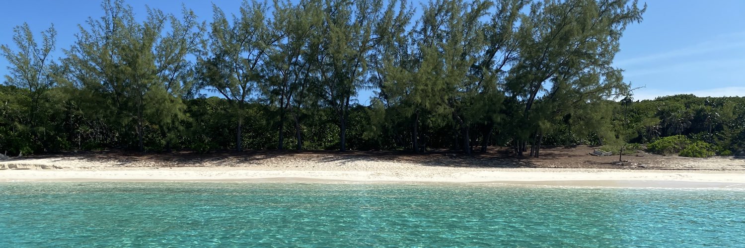 Lynette Howell Taylor banner