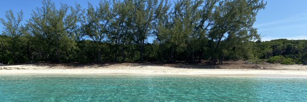 LynetteHowell Profile Banner