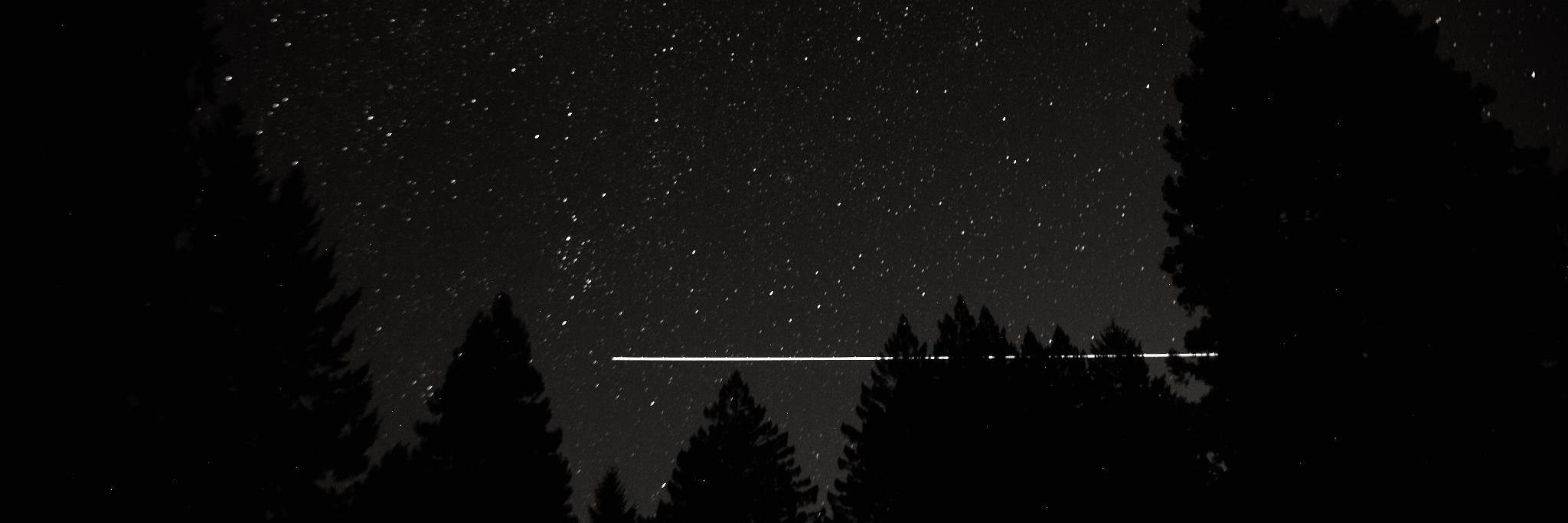 laureldailey's profile banner image