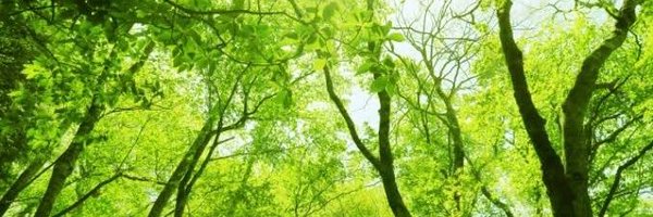 hrkmr_tech Profile Banner