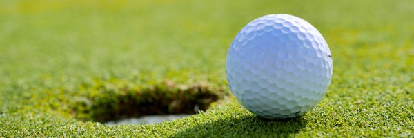 rossantrobus Profile Banner