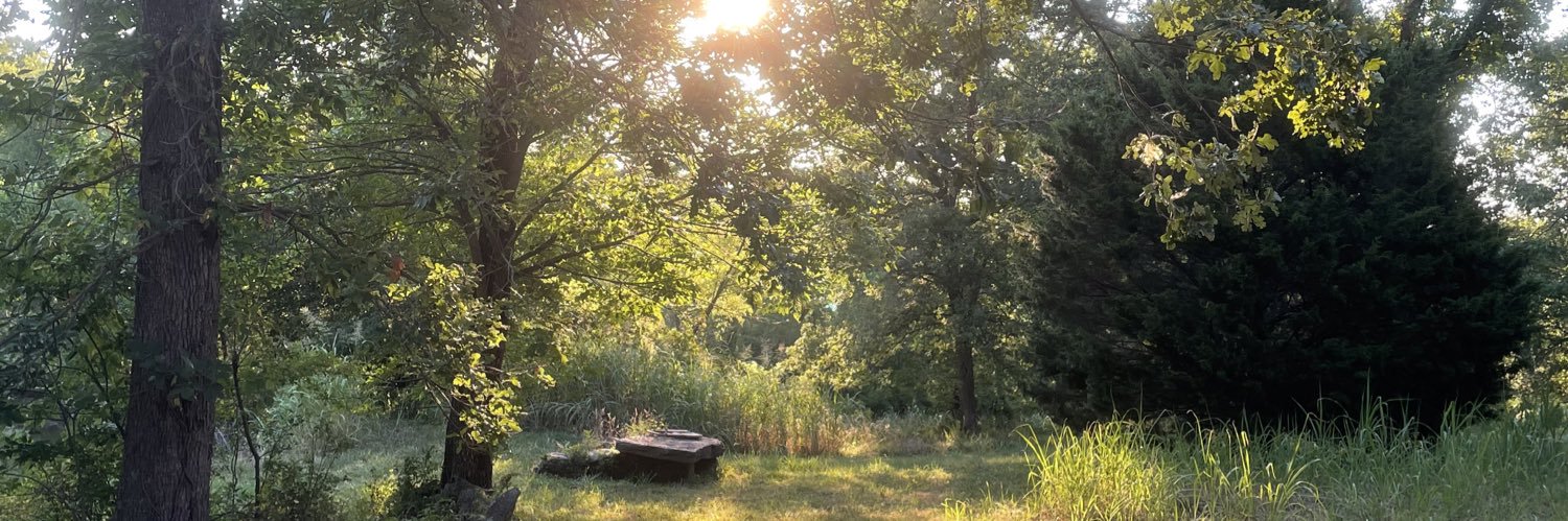 lil rural hippy honey 🍯 banner