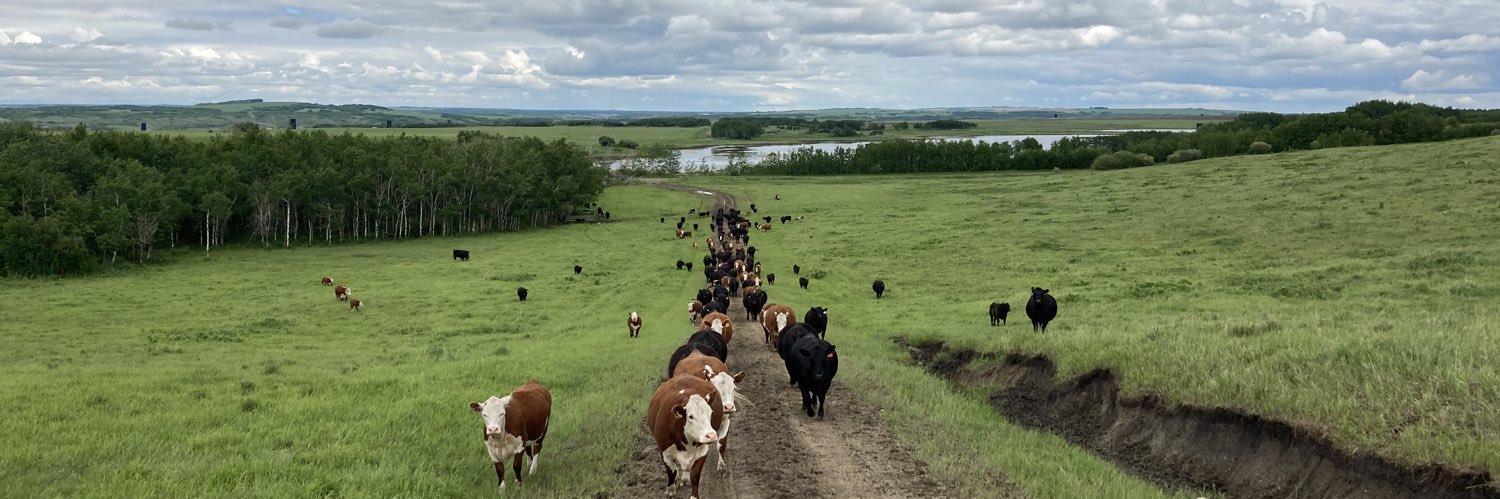 Standard Hill-SMyer banner