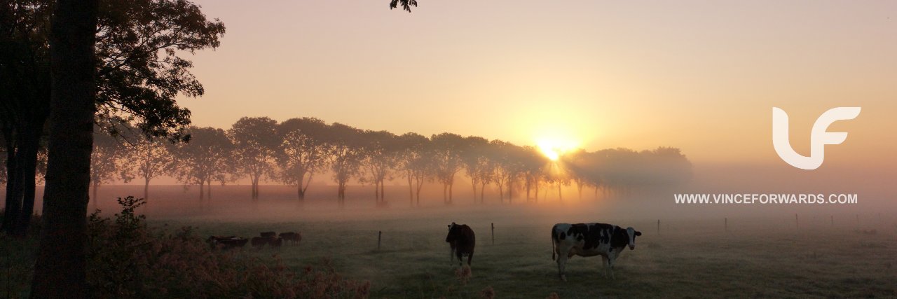 Vince Forwards banner