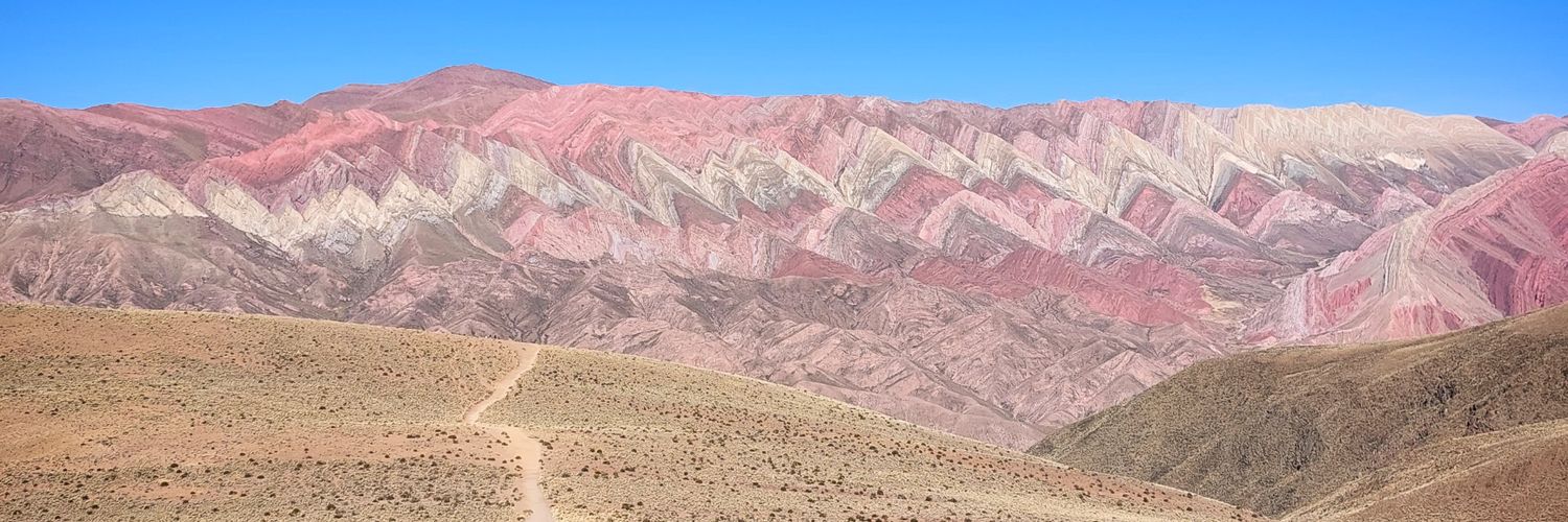 AniBorgherini's profile banner image