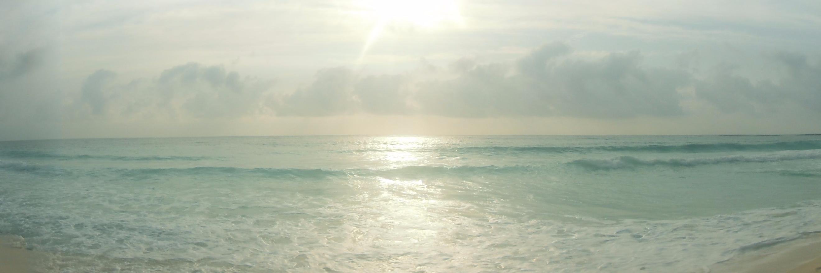 brenpalacios's profile banner image