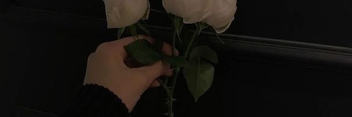 purplepppe's profile banner image