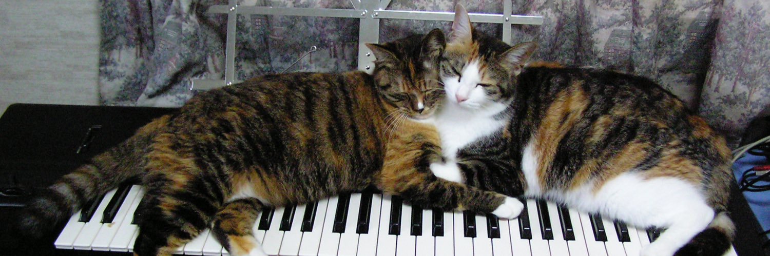 catsounds222's profile banner image