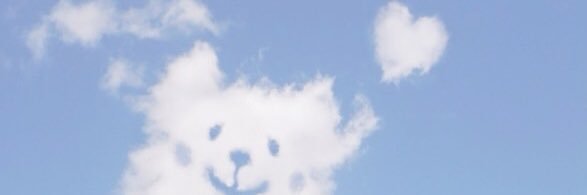 fairlychances's profile banner image