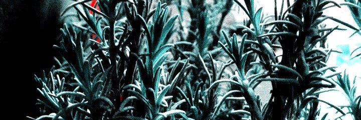 klnkvasn's profile banner image