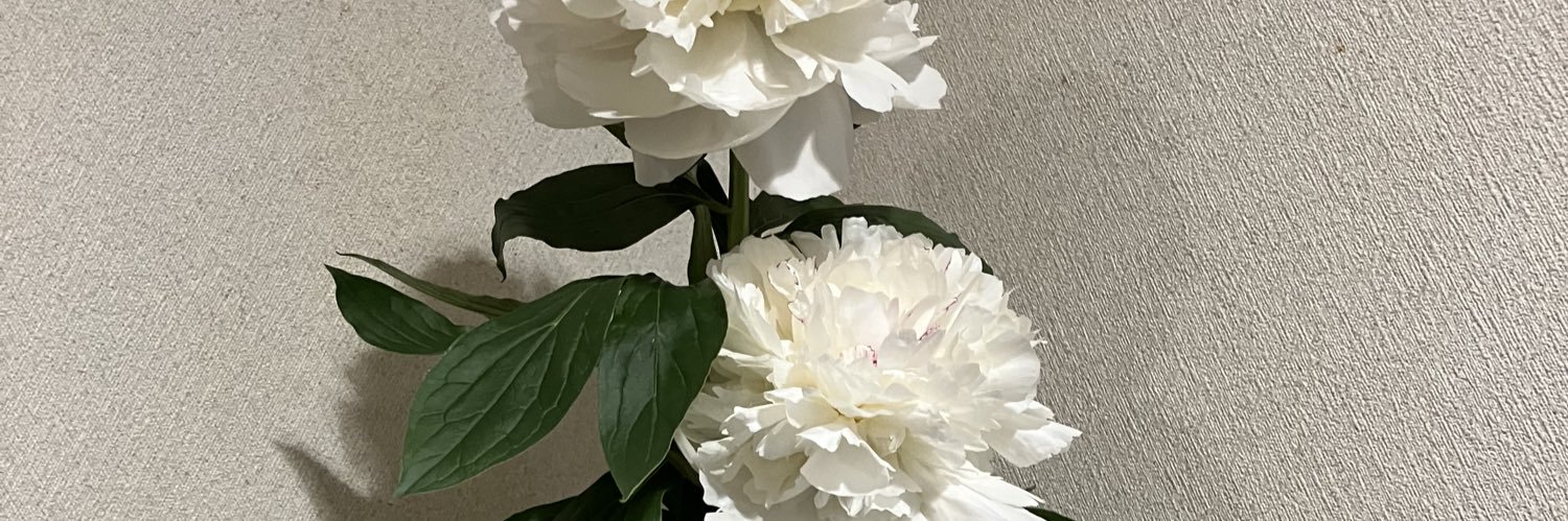 abou_yuto's profile banner image