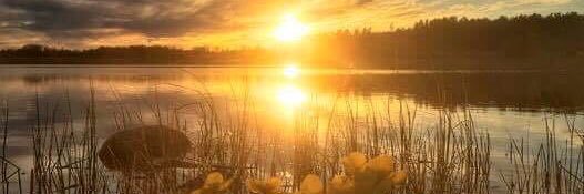 𝓜𝓲𝓷𝓳𝓪 𝓥𝓲𝓽𝓲𝓴𝓴𝓪 banner