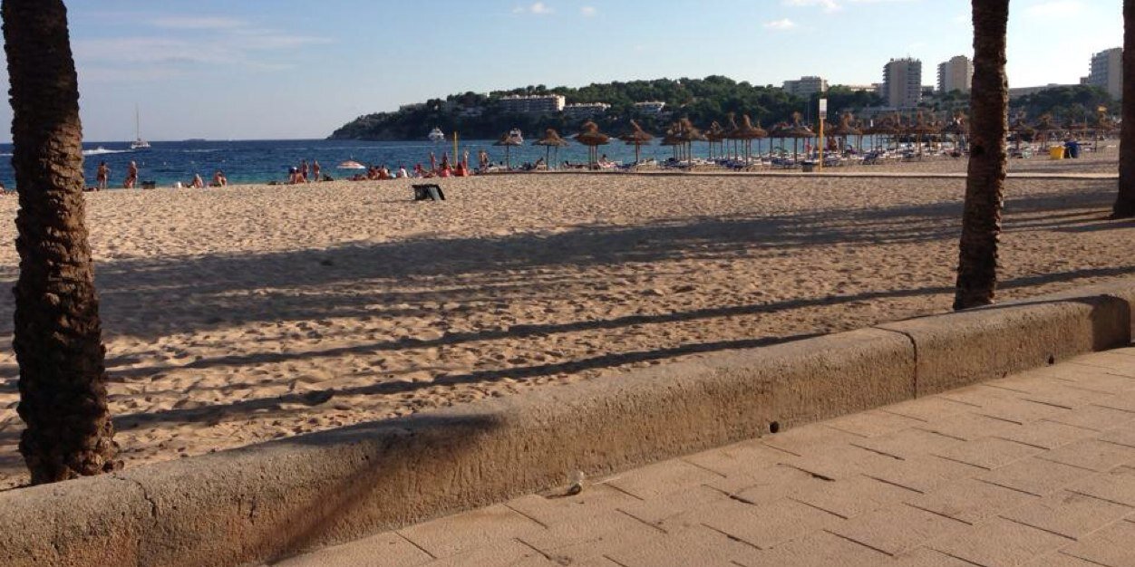 Chris Sheppard banner