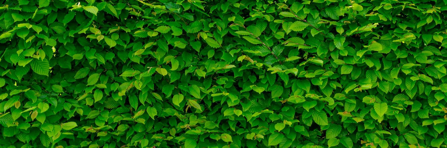 SaraPer01's profile banner image