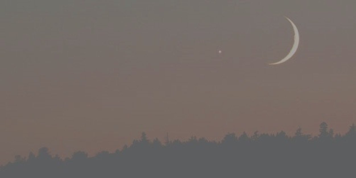 EthanRPGWSTWS's profile banner image