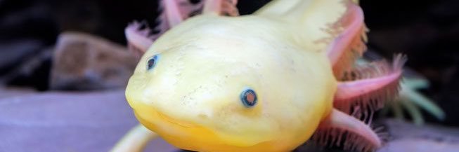 a___l_e__x's profile banner image