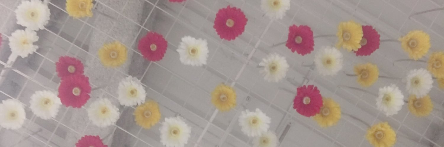 1Misky's profile banner image