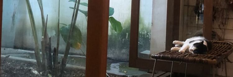 isyaiii's profile banner image