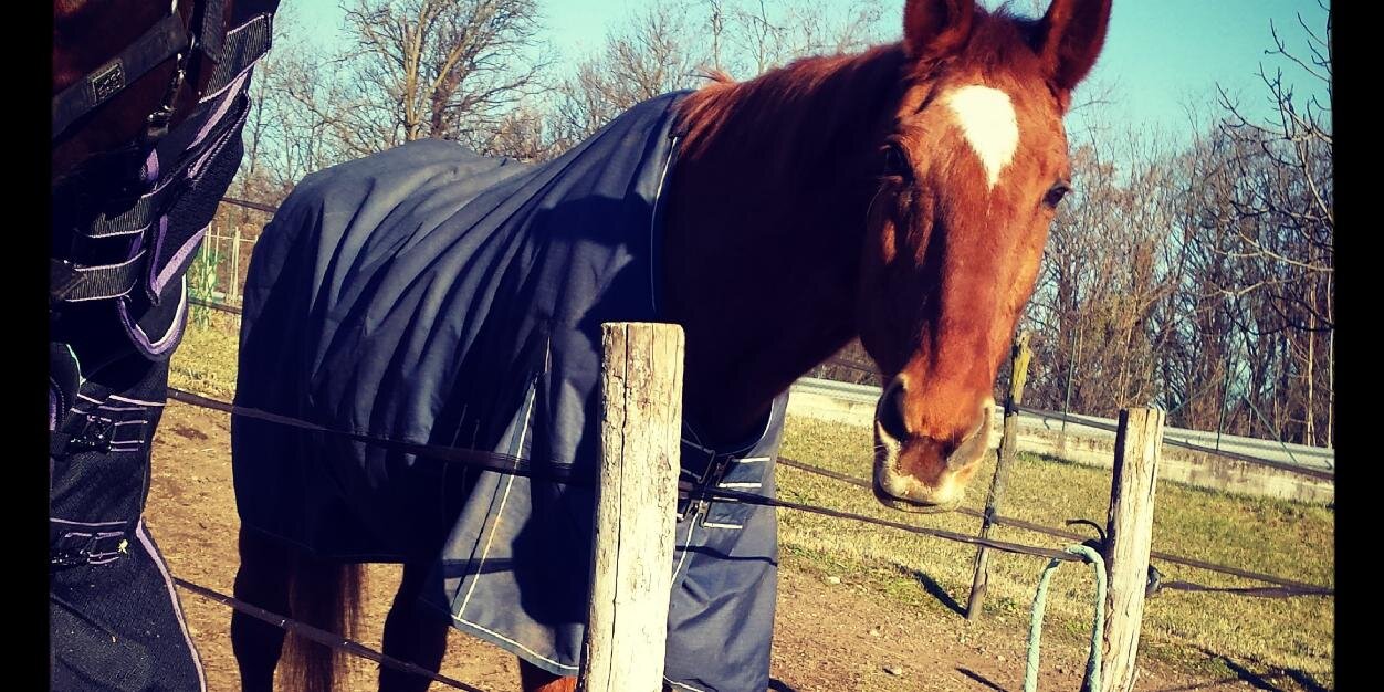 hors3_addict's profile banner image